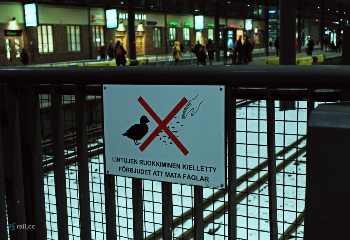Do not feed birds at the station