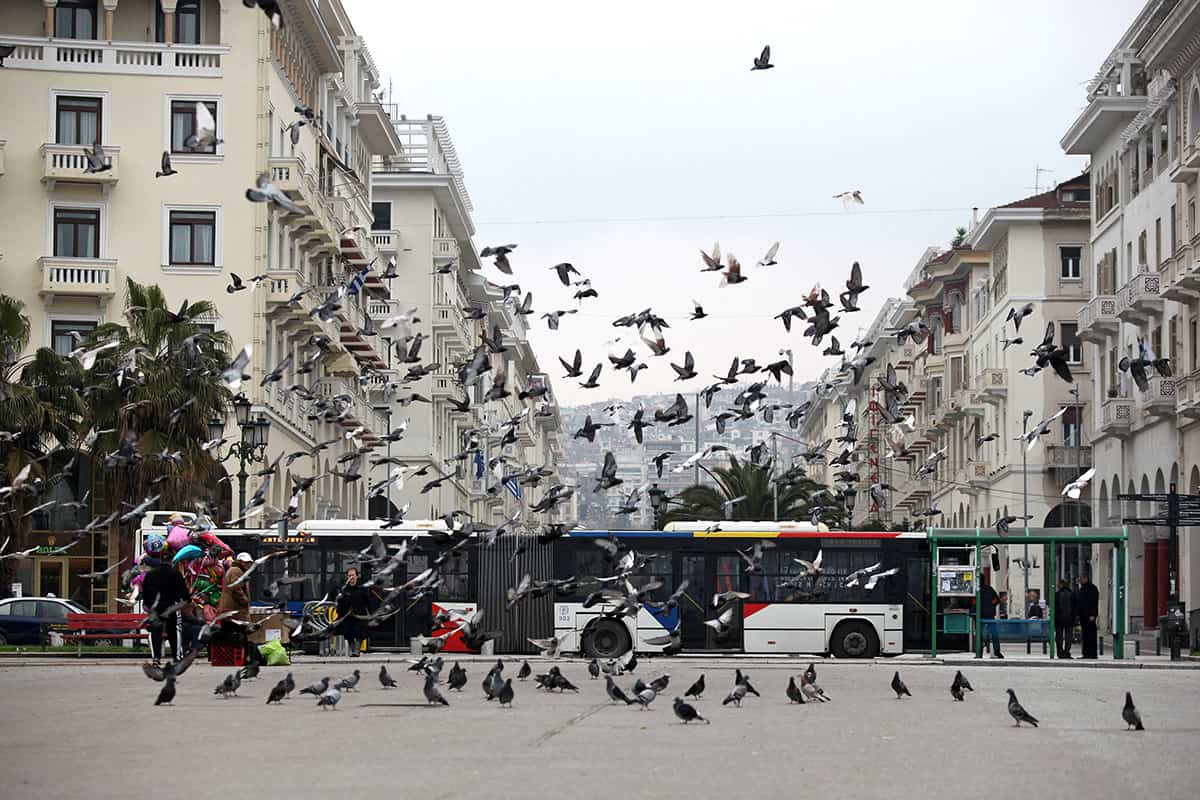 Fliegende Tauben auf dem Platz vor dem „Aristotelous Square“